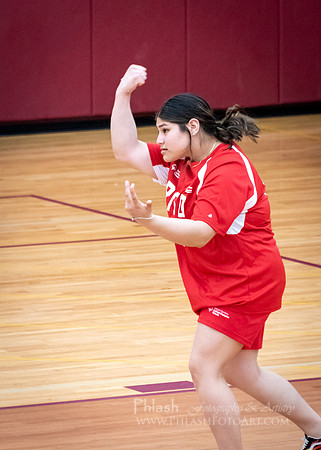 SORIVolleyball-32