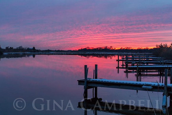 Gina Snow Docks