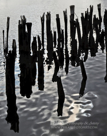 Skeleton Pier