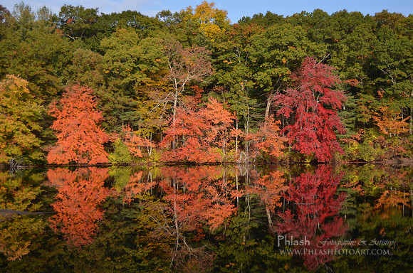Vibrant Reflections
